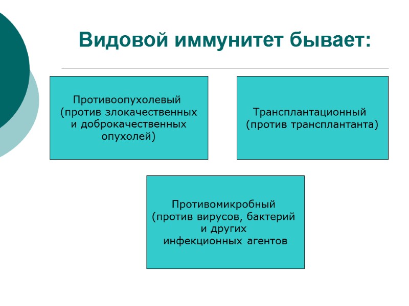 Видовой иммунитет бывает: Противоопухолевый  (против злокачественных  и доброкачественных  опухолей) Трансплантационный 